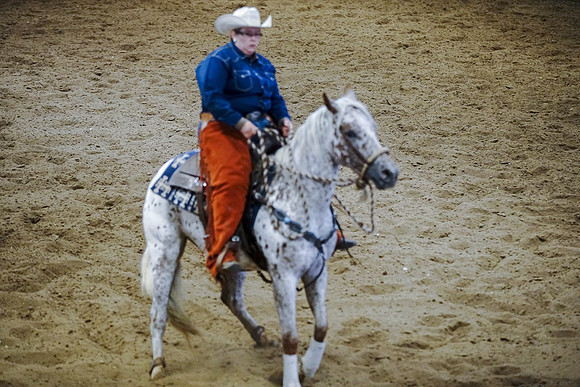 DSC08009