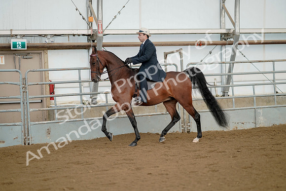 July 21, 2019 - 01557