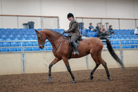 2019 Morgan Horse Show - Aug 30, 2019 - 29211