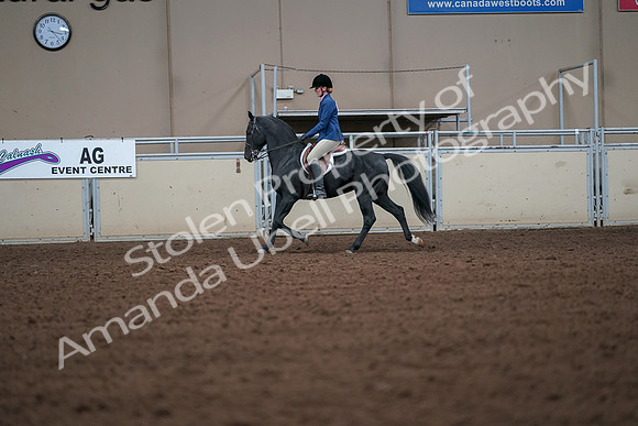 2019 Morgan Horse Show - Aug 30, 2019 - 18377