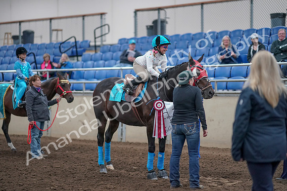 2019 Morgan Horse Show - Aug 31, 2019 - 10154