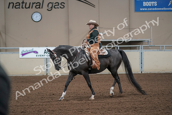2019 Morgan Horse Show - Aug 31, 2019 - 06235