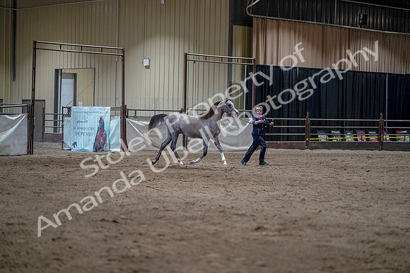 WSB - June 28, 2019 - 12293