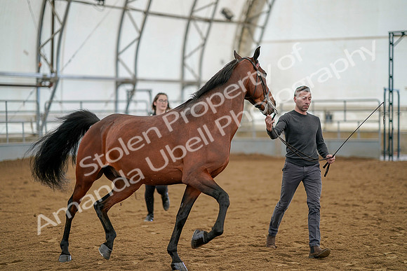 July 19, 2019 - 960