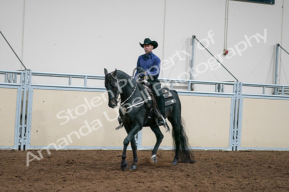 2020 - AB Morgan Horse - Sun, Sept 06 - 07593