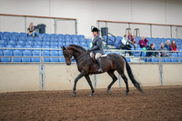 2019 Morgan Horse Show - Aug 30, 2019 - 13870
