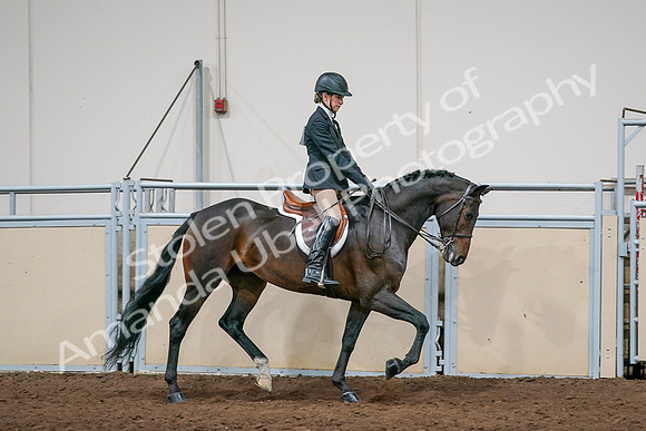 2020 - AB Morgan Horse - Sun, Sept 06 - 08087