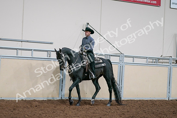 2020 - AB Morgan Horse - Fri, Sept 04 - 08521