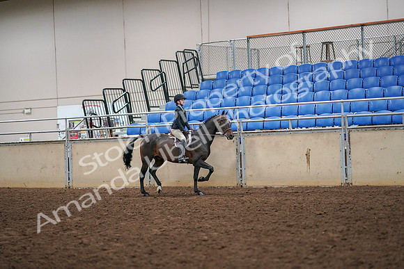 2019 Morgan Horse Show - Aug 30, 2019 - 12406