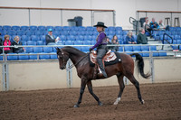 2019 Morgan Horse Show - Aug 31, 2019 - 10551