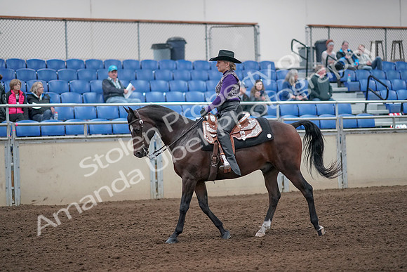 2019 Morgan Horse Show - Aug 31, 2019 - 10551
