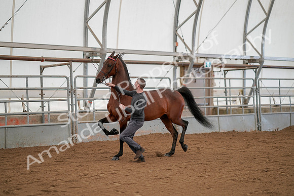 July 19, 2019 - 1165