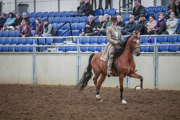 Spring Fling - Saturday - April 20, 2019  -  03946