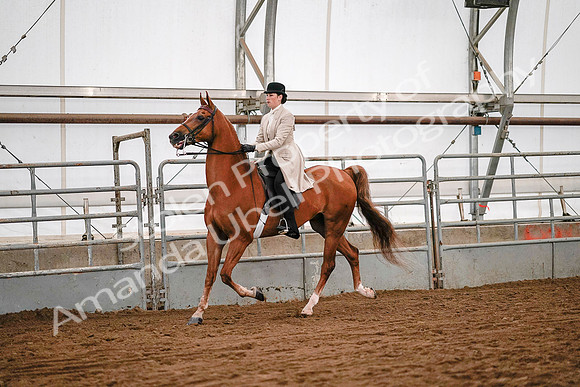 July 19, 2019 - 9009