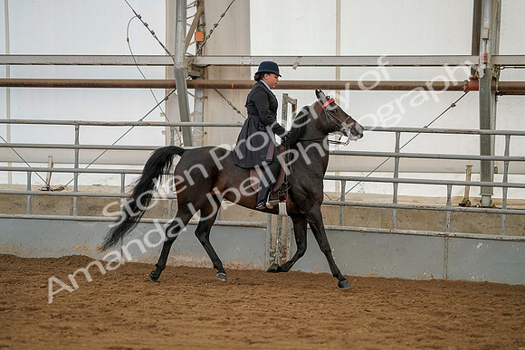 July 20, 2019 - 04515