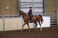Class 148 - All Breeds English Pleasure, Nov. Rider
