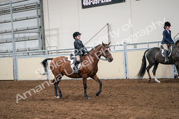 2020 - AB Morgan Horse - Sun, Sept 06 - 07992