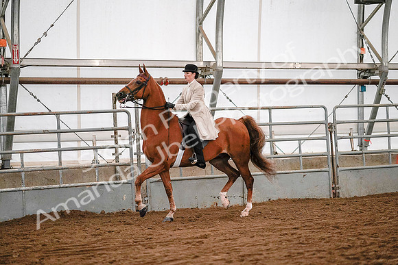 July 19, 2019 - 9013