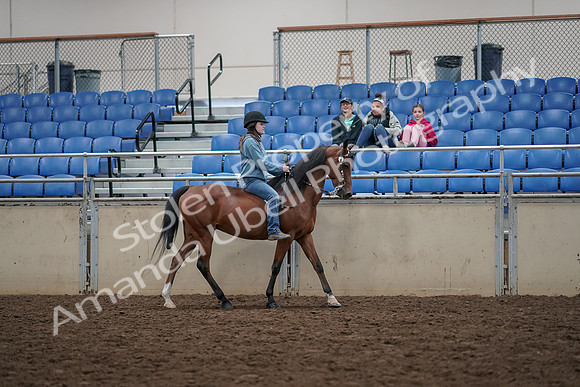 2019 Morgan Horse Show - Aug 30, 2019 - 31347