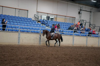 2019 Morgan Horse Show - Aug 30, 2019 - 12656