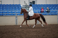 2019 Morgan Horse Show - Aug 31, 2019 - 17865