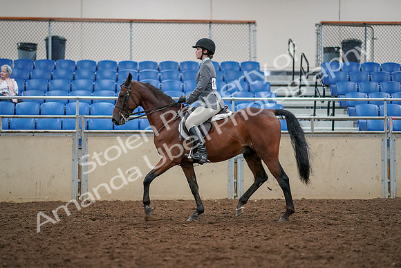 2019 Morgan Horse Show - Aug 30, 2019 - 23381