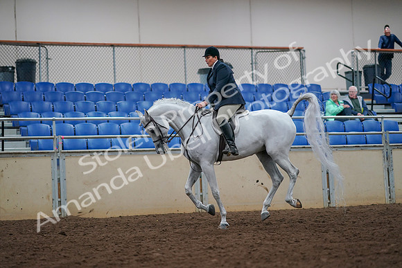 2019 Morgan Horse Show - Aug 30, 2019 - 17494