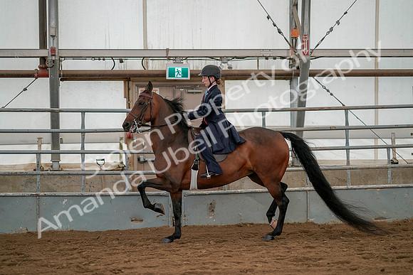 July 19, 2019 - 3893