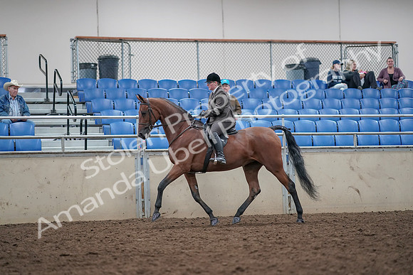 2019 Morgan Horse Show - Aug 31, 2019 - 15000