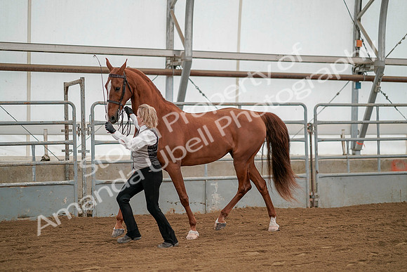 July 19, 2019 - 1343
