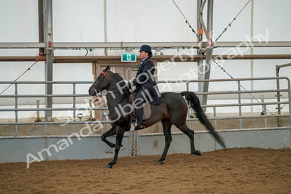 July 20, 2019 - 04353