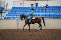 2019 Morgan Horse Show - Aug 30, 2019 - 16715