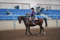 2019 Morgan Horse Show - Aug 31, 2019 - 10543
