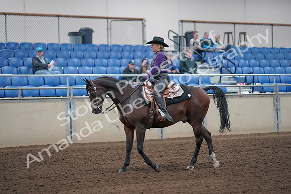 2019 Morgan Horse Show - Aug 31, 2019 - 10543