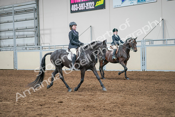 2020 - AB Morgan Horse - Sun, Sept 06 - 08136