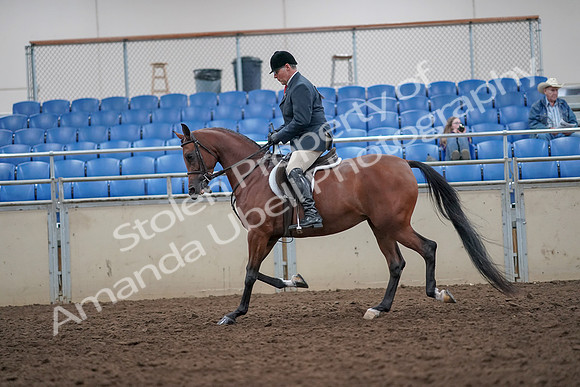 2019 Morgan Horse Show - Aug 31, 2019 - 14831