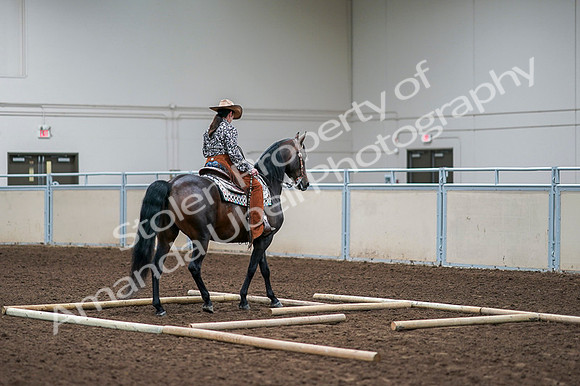 2020 - AB Morgan Horse - Fri, Sept 04 - 00093