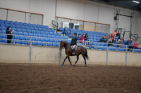 2019 Morgan Horse Show - Aug 30, 2019 - 12658