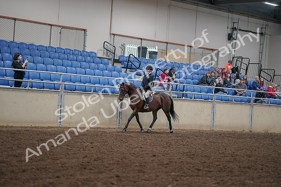 2019 Morgan Horse Show - Aug 30, 2019 - 12658