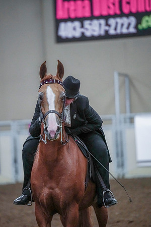 Spring Fling - Saturday - April 20, 2019  -  00855
