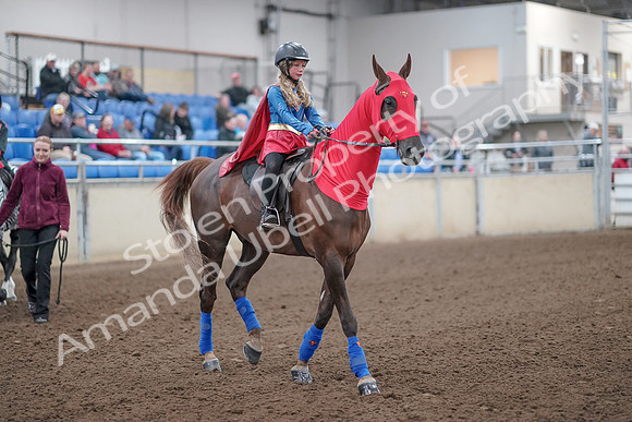 2019 Morgan Horse Show - Aug 31, 2019 - 09994
