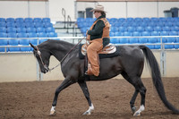 2019 Morgan Horse Show - Aug 31, 2019 - 06030