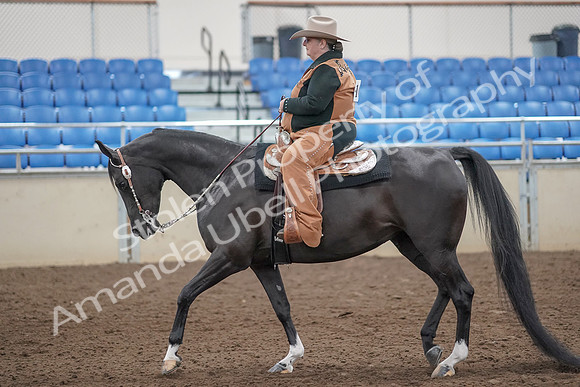 2019 Morgan Horse Show - Aug 31, 2019 - 06030
