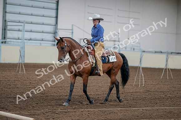 2020 - AB Morgan Horse - Fri, Sept 04 - 00141