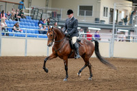 2020 - AB Morgan Horse - Sat, Sept 05 - 06858
