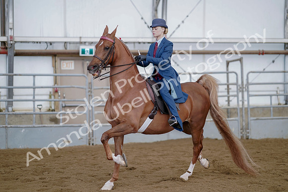 July 21, 2019 - 04674
