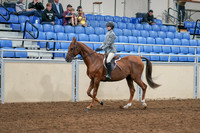 2020 - AB Morgan Horse - Sat, Sept 05 - 02602