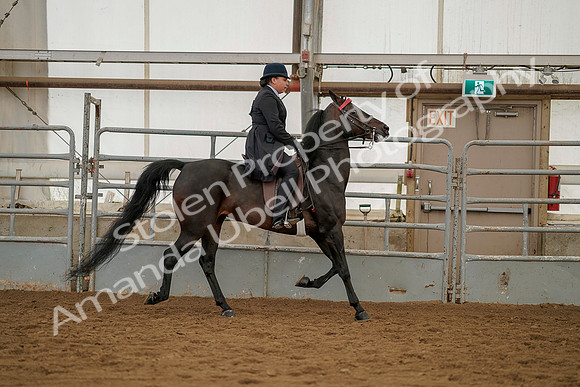 July 20, 2019 - 04528