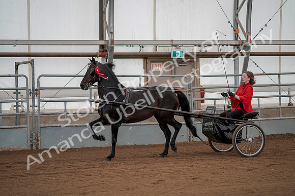 July 20, 2019 - 00316