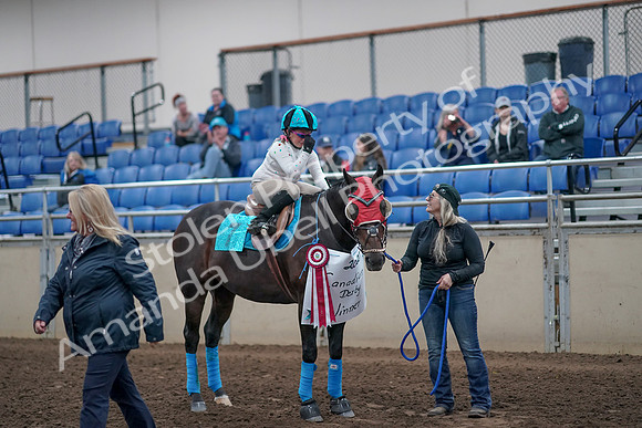 2019 Morgan Horse Show - Aug 31, 2019 - 10216